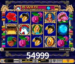 54999 Rio de Janeiro - Bonus Terms